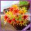 LF438 Hotel Restaurant Decoration Artificial Plastic Mini Daisy Plant in Different Colors