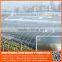 top quality 100 150 200 micron tunnel / multi-span / mini / mushroom / garden / agricultural greenhouse plastic film for sale