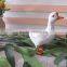 Full body birds ornaments taxidermy figurine garden falcon decoy