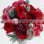 varieties color of Carnation flower fresh cut carnation best quality