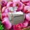 CE best selling commercial fruit and vegetable grinding machine