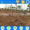 agriculture drip tape for farm irrigation equipment