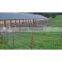 cheap livestock and wildlife particurarly horse and deer electric fencing