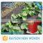 Safe and Sound Packing Shenzhen Agricultural Products