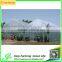Gutter Height Commercial Polycarbonate Greenhouse for Used
