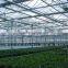 ISO9001 quality insurance polycarbonate PC sheet greenhouse for agriculture and commercial use