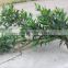 Artificial olive tree , large fake olive tree for sale