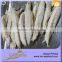 2015 Competitive Price Precooked Fresh Frozen Tuna Loin