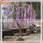 Most colorful flower tree wisteria artificial wholesale