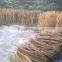 Raw Rattan Cane, Rattan, Cane, Rattan Meterial, Raw Material, Rattah Raw Mateiral, Rattan Cane, rattan pole, pole, raw