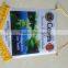 Satin Hanging Pennant