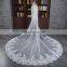 HSP1702 Luxury Real Photo Wedding Veils 3 Meters Long Lace Appliqued Bridal Veil