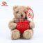 ICTI Audits EN71/ 123 OEM Red Heart Teddy Bear Custom in China