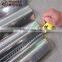 1mm Thick Galvanized Steel Sheet