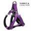Long Lasting Material Collar &Leash