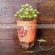 Korean hand color desktop small fresh ceramic flower pot