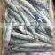 Small package IQF frozen sardine fish export for fishing