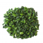 freeze dried spinach cut