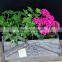 custom wooden planter box succulent plants pots with handle