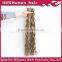 New fashion top quality best selling ombre remy tape hair extension
