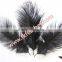 Cheap Craft Feather Black Ostrich Feathers Fabric For Wedding Decorations And Party Rnament