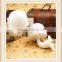 home decor high quality engergy-saving small mushroom led night light