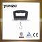 2013 New product The smart Scale