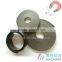 Flexible extruction magnetic stip