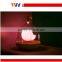 Touch sensitive poratble Birdcage lamp