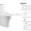 Bathroom good flush function washdown P/S-trap one piece toilet B0837A