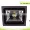 30W LED COB Floodlight/Tree Lighting With IP66 Waterproof CE&RoHS Certificate Epistar or Bridgelux Chips