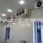 pu sandwich panels cold room, Changzhou China cold room storage