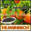 Huminrich Shenyang Soluble Rich In Npk Humic Acid Amino Acid Organic Fertilizer