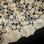 Hot selling guipure lace fabric cord lace fabric embellished lace fabric with wholesale