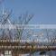 newly Hummer Wind Turbine/windmill/wind generator 10KW for home use or farm use