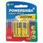 excellent AAA alkaline battery for poland market