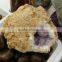 Natural Rough Amethyst Agate Geode