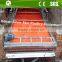 automatic broiler cage for poultry farm