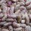we are supply speckled Kidney Beans with good quality for sale