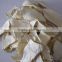 New crops white dried horseradish slices