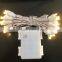 LED light chain/holiday light