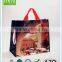 china wholesale promotional pp woven tote bag