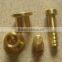 Window brass decorative metal Screw