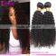 2016 Hot Sale Full Cuticle 4c Afro Kinky Curly Human Hair Weave, Mongolian Kinky Curly Hair