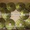 common coil nails/wire coil nails Made in china