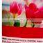 DyeSubliamtion printing flag fabric