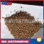 DYAN walnut shell blasting abrasive