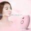 Cute Design Handheld USB Chargeable Skin Moisturizing Face Facial Nano Mist Spray