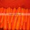 chinese new crop shandong fresh Carrot in carton