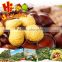 The best chinese species fresh chestnut